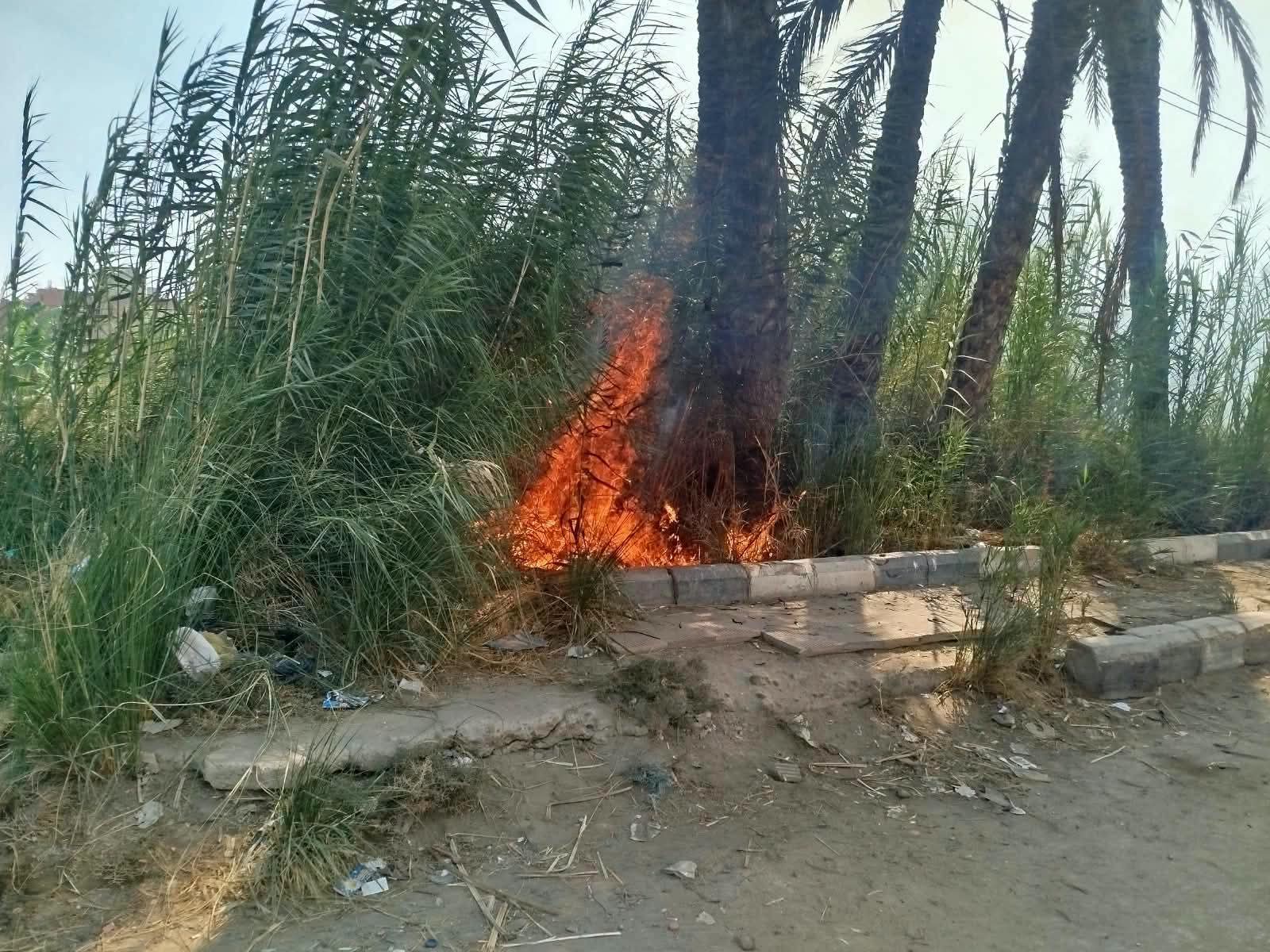 WhatsApp Image 2026-10-19 at 3.13.58 PM (1)